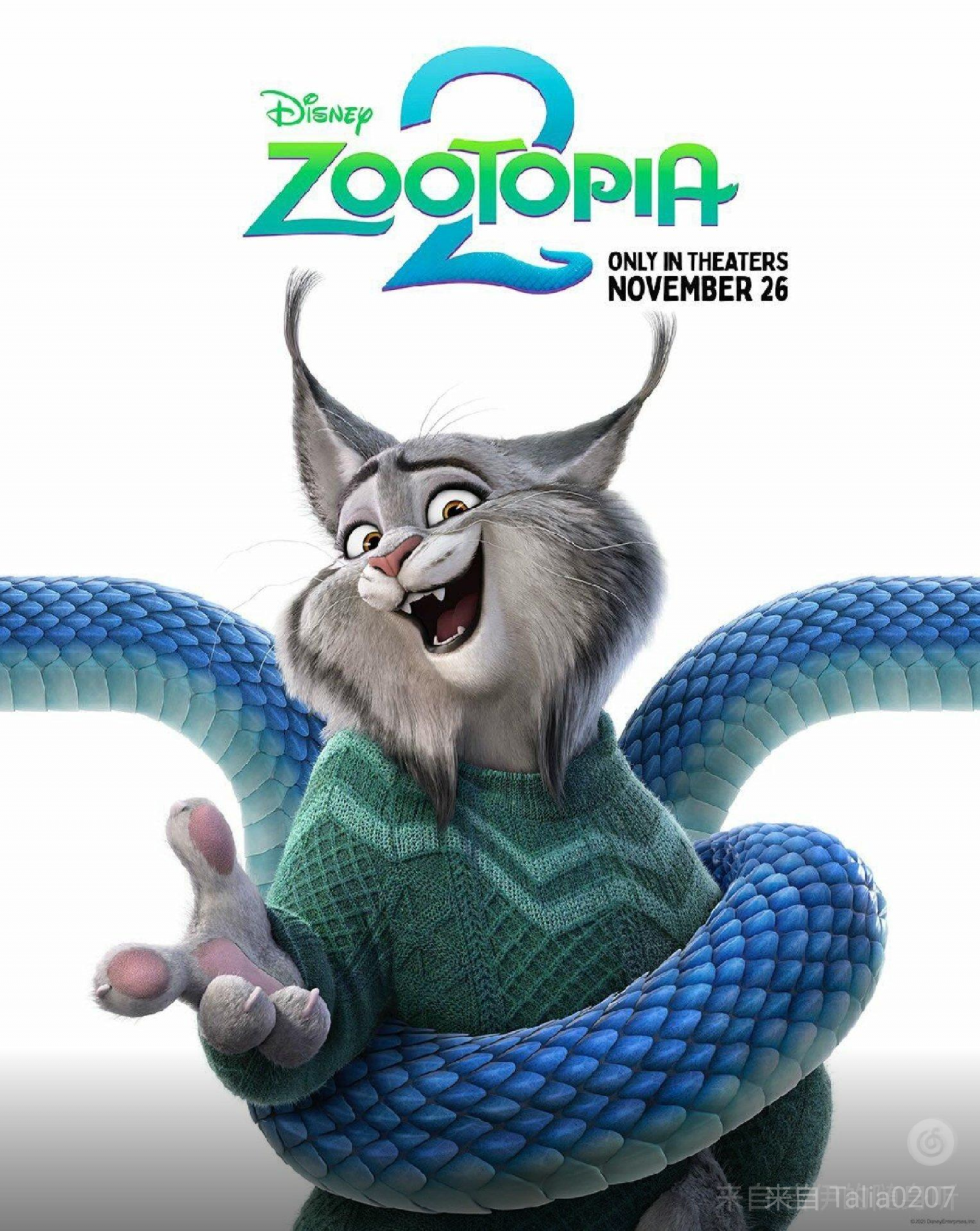 附一张可爱的小山猫